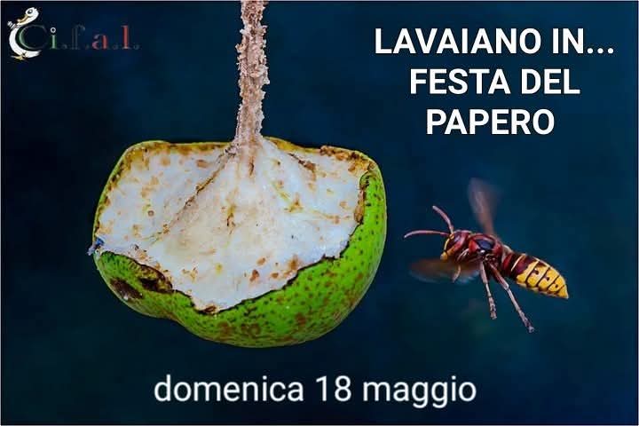 Lavaiano: LAVAIANO IN… FESTA DEL PAPERO